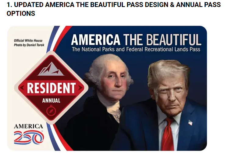 americatheb_new_resident.PNG