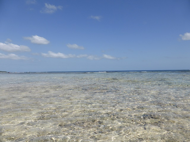 P1030149.JPG