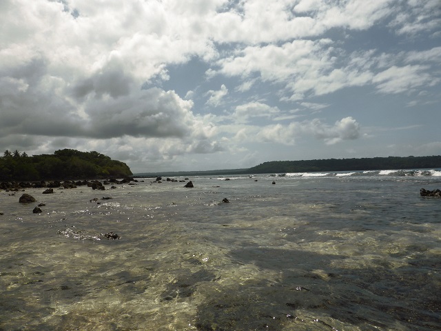 P1030358.JPG