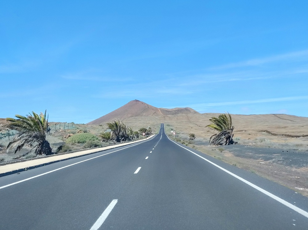 3-Lanzarote_droga_LZ34.jpg