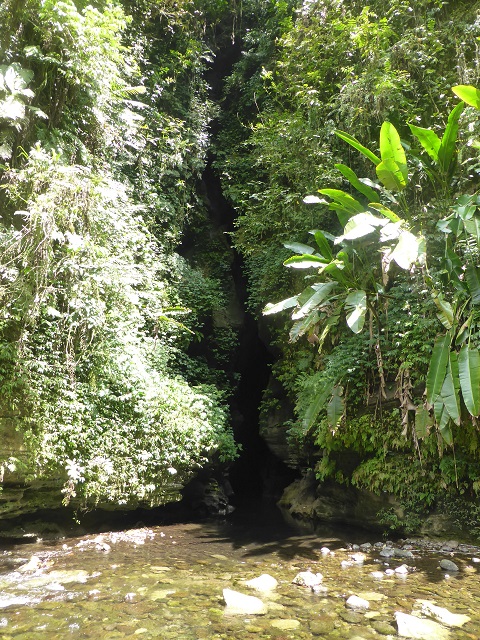 P1030471.JPG