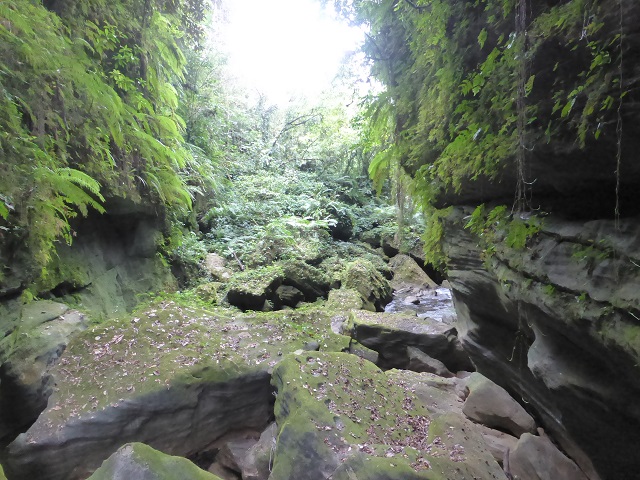 P1030483.JPG