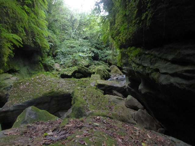 P1030487.JPG