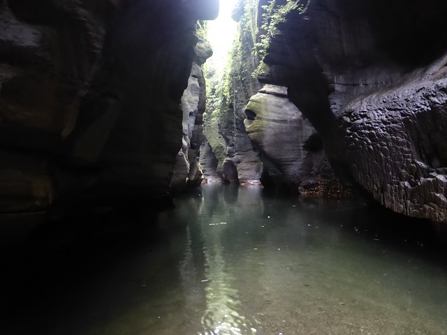 P1030488.JPG