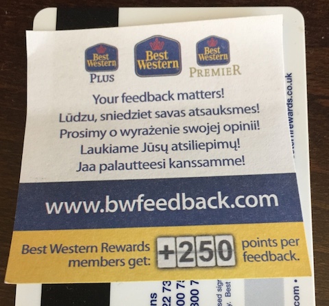 feedback.JPG