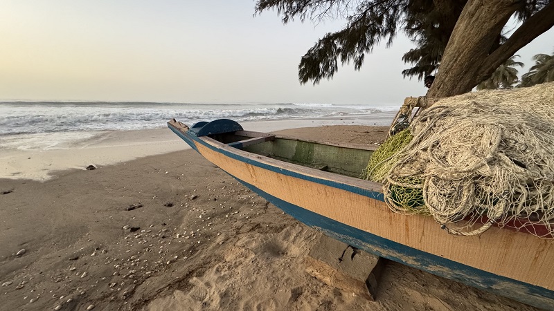 2_Gambia.JPG