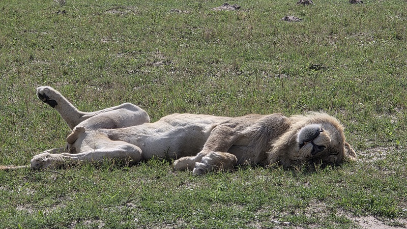 9_Botswana_1.jpg