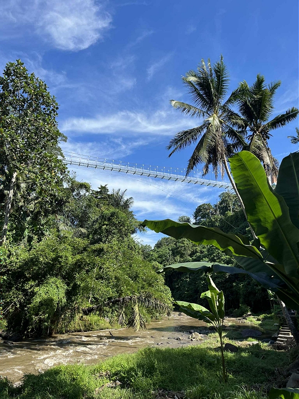 bali11.jpg