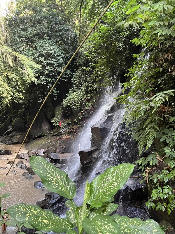 bali13.jpg