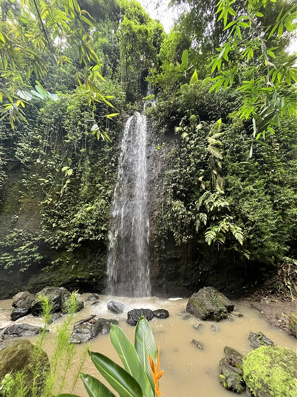 bali16.jpg