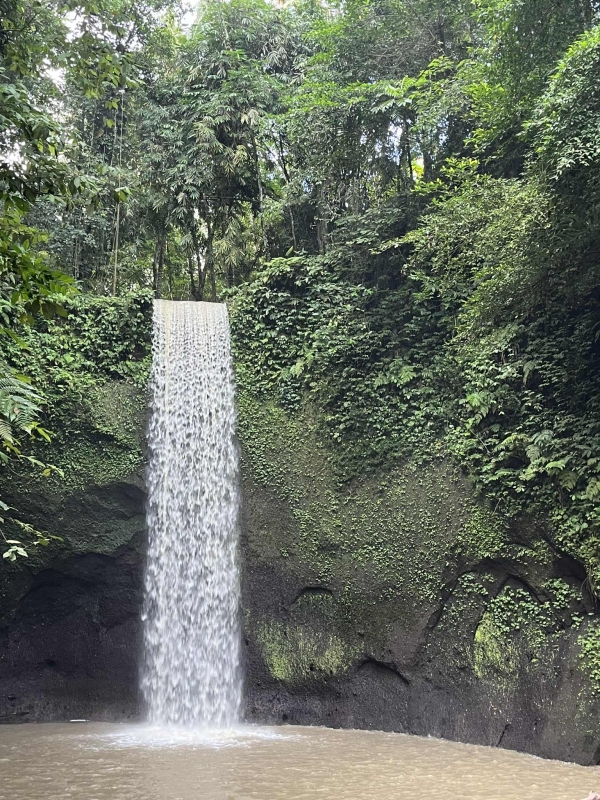 bali17.jpg