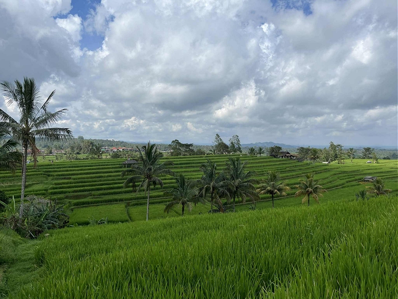 bali26.jpg