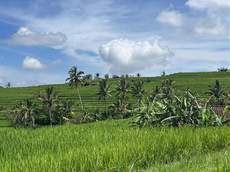 bali32.jpg
