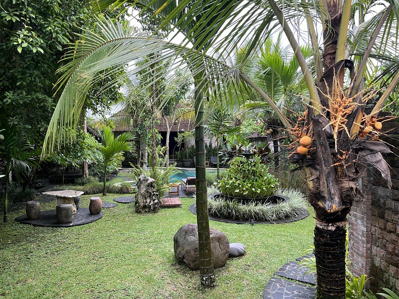 dom05.jpg