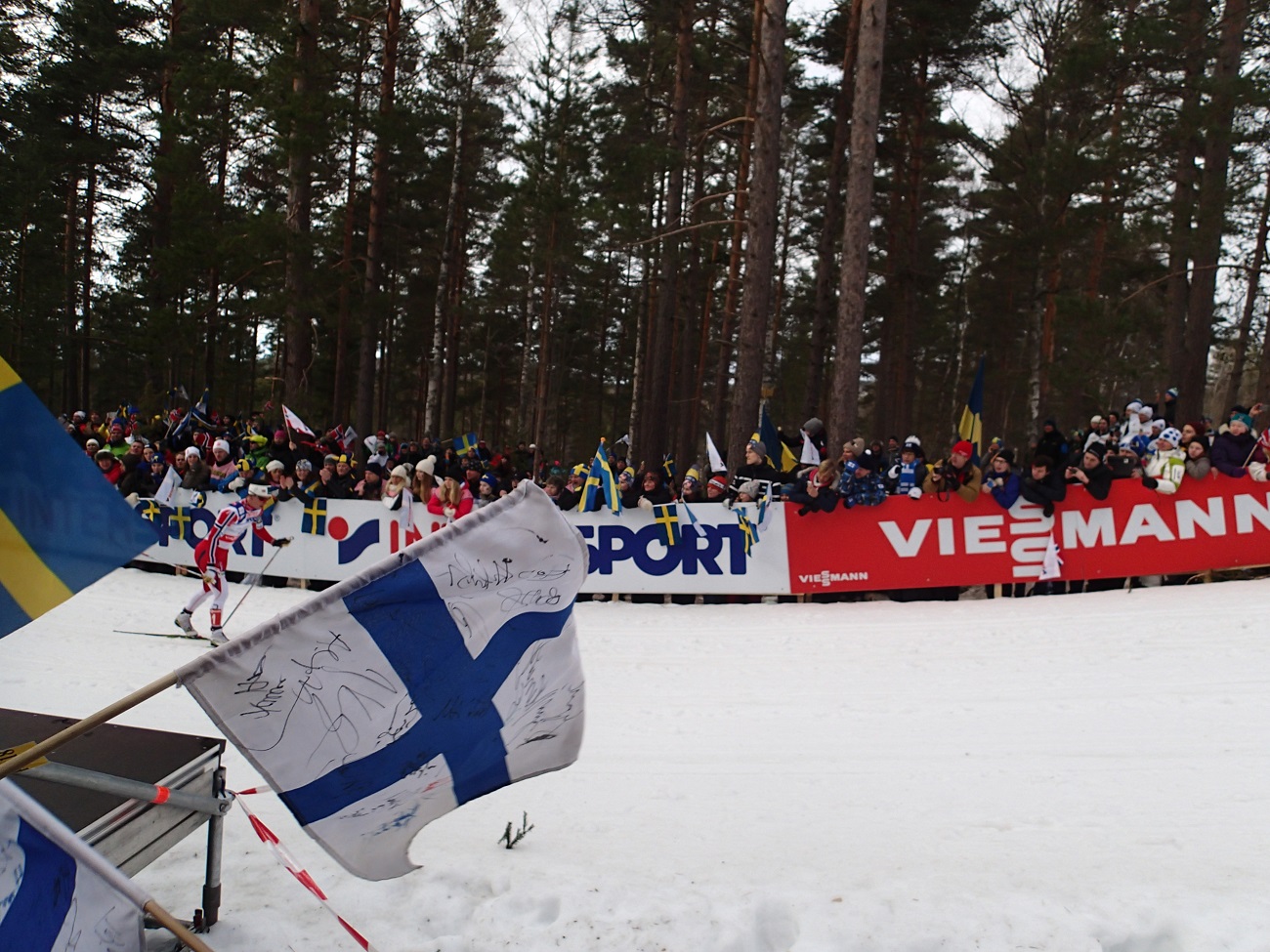 P2284797.JPG