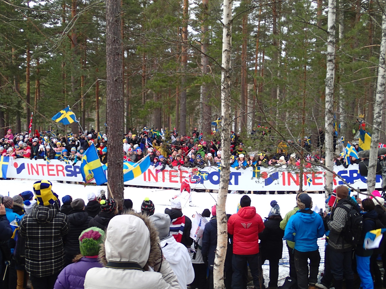 P2284796.JPG