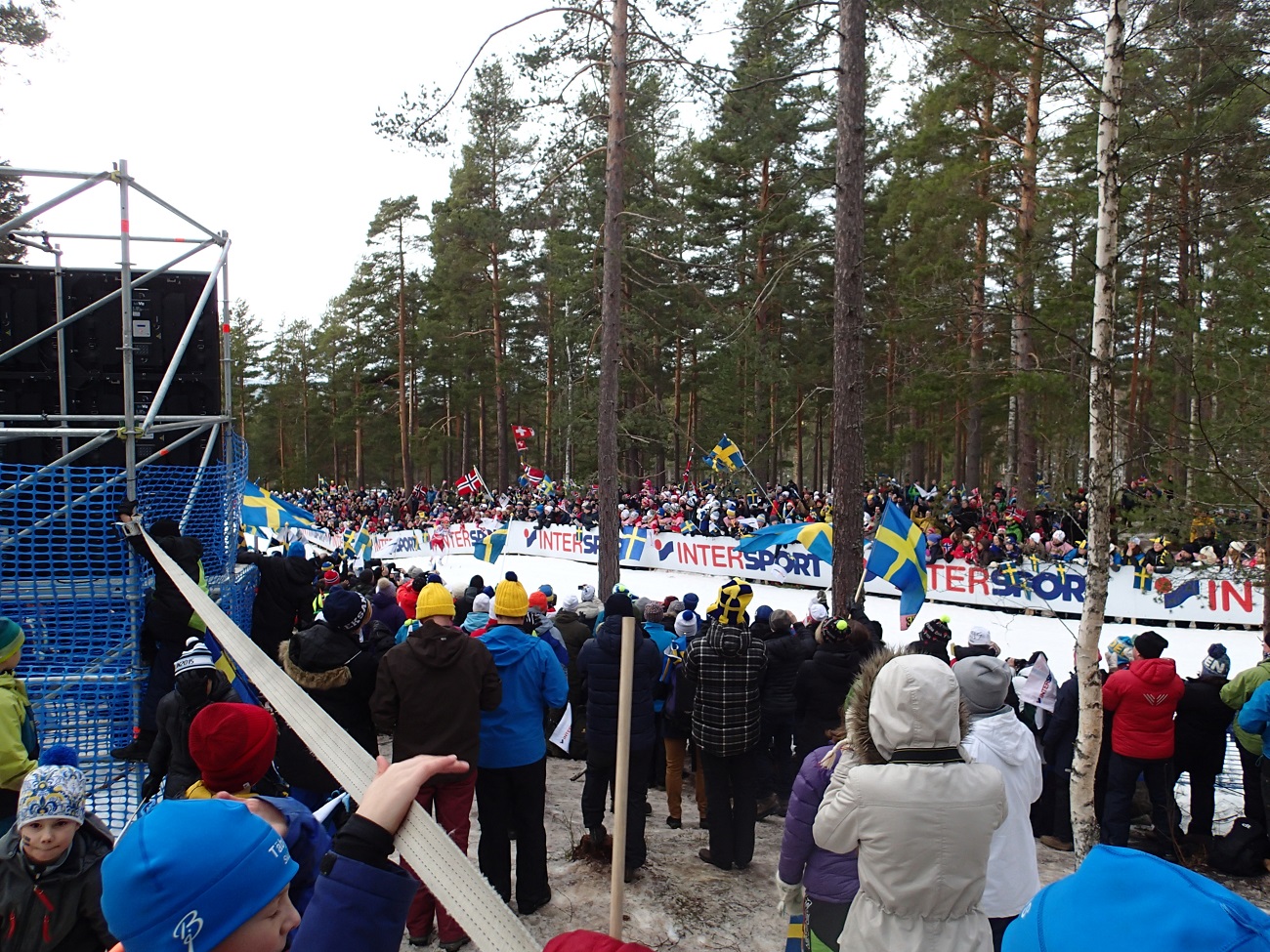 P2284795.JPG
