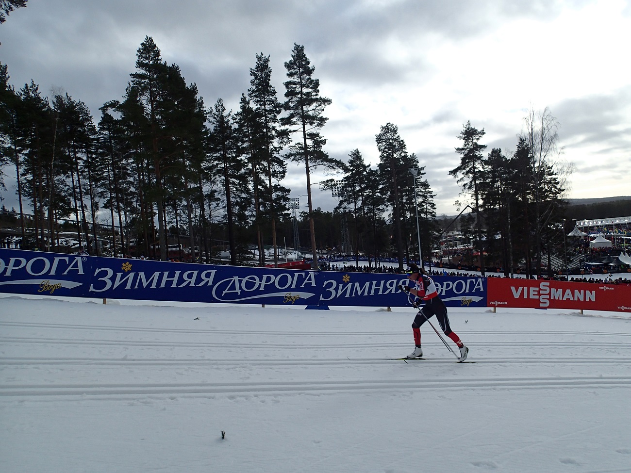 P2284790.JPG