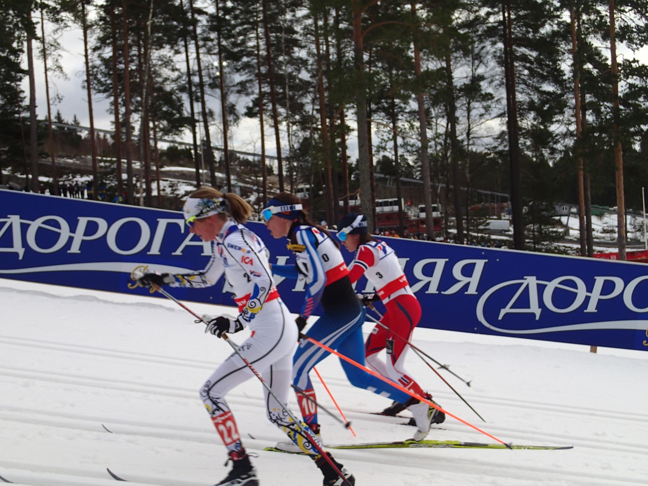 P2284788.JPG
