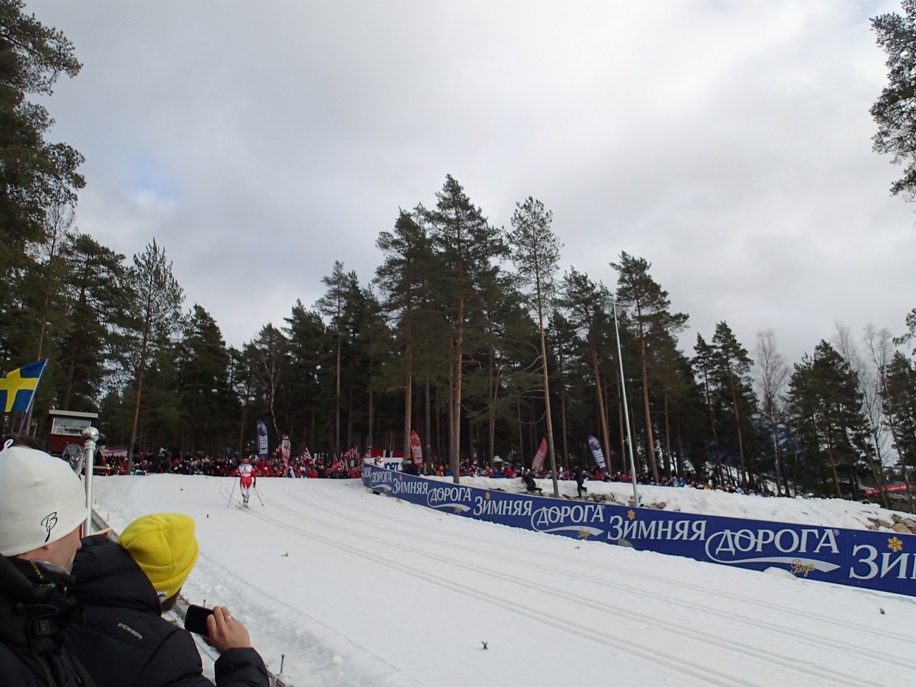 P2284786.JPG