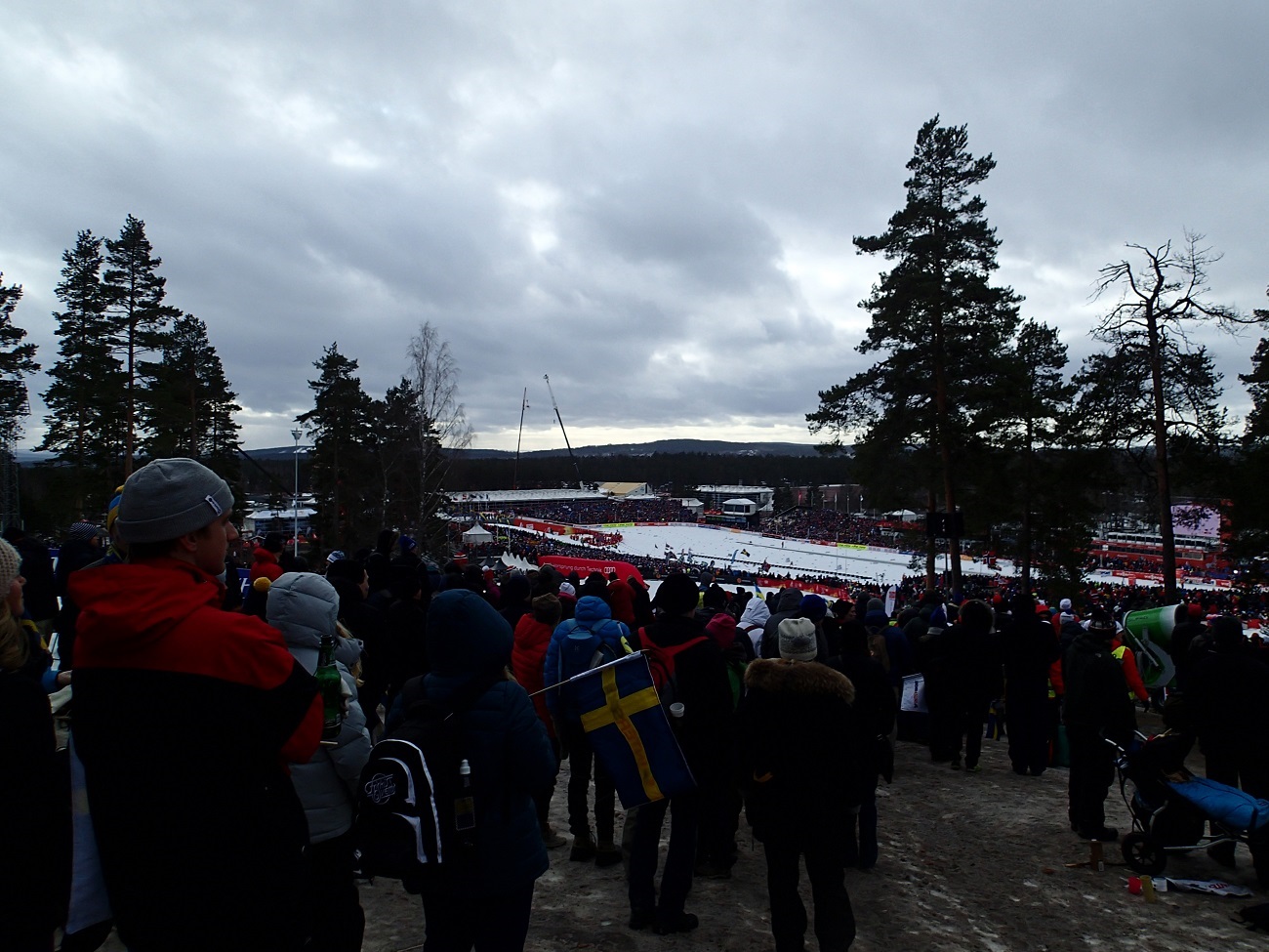 P2284778.JPG