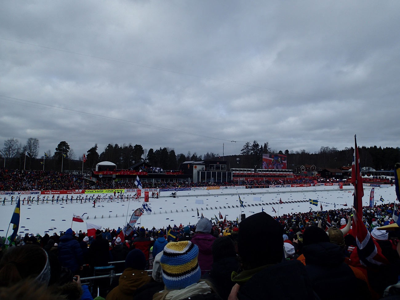 P2284761.JPG