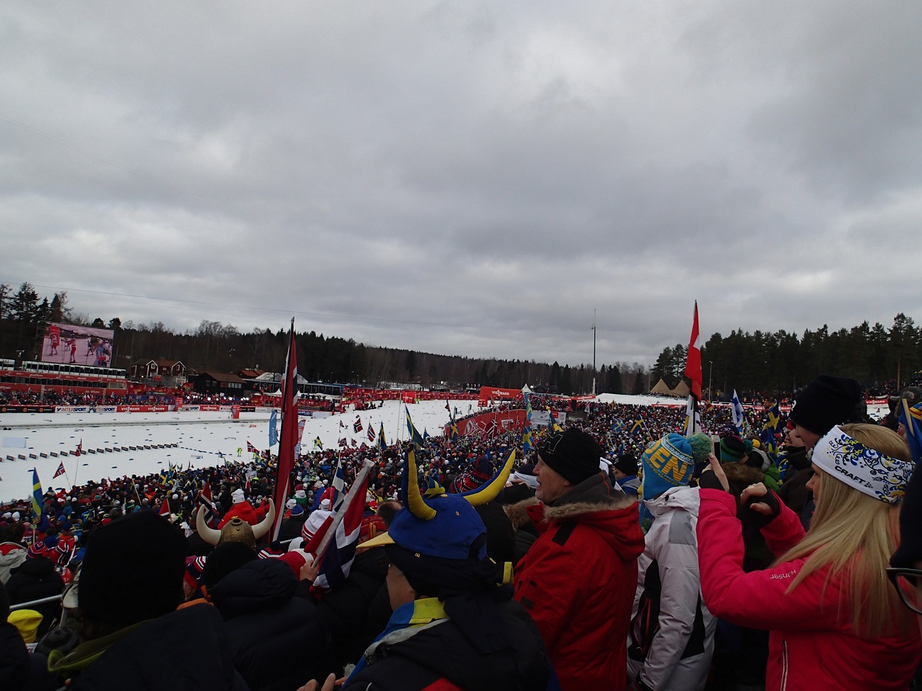 P2284760.JPG
