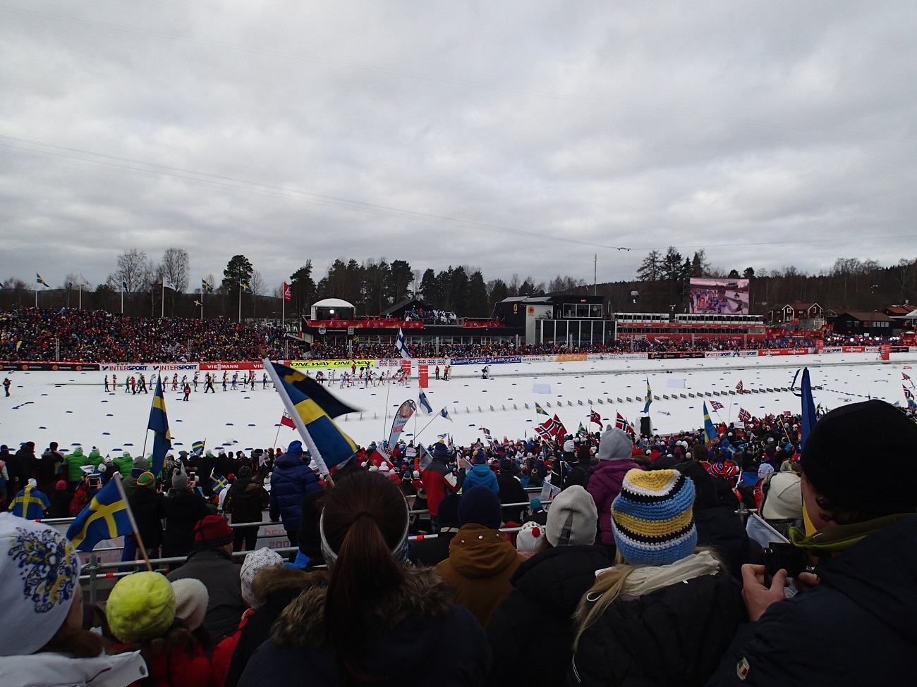 P2284759.JPG