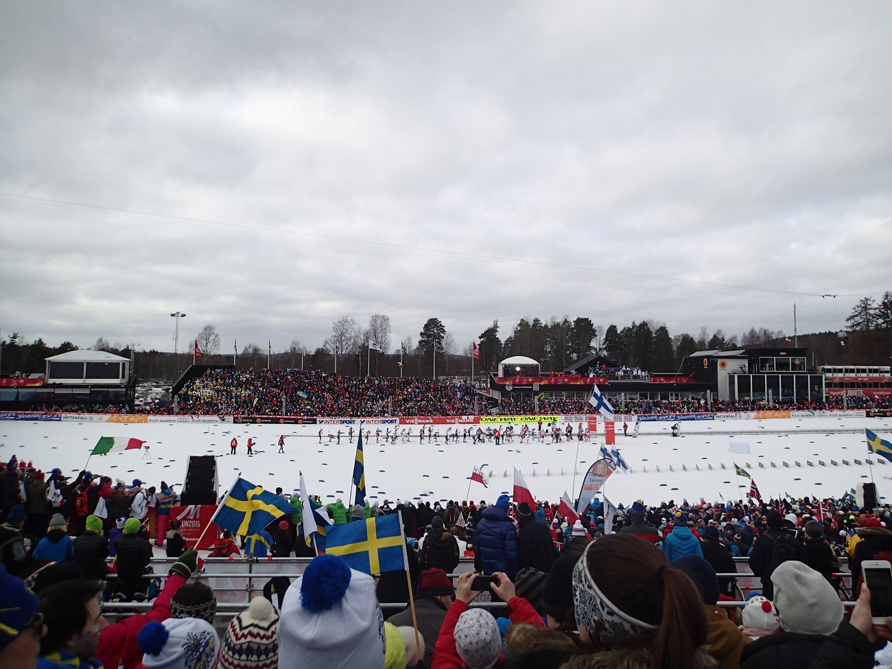 P2284756.JPG