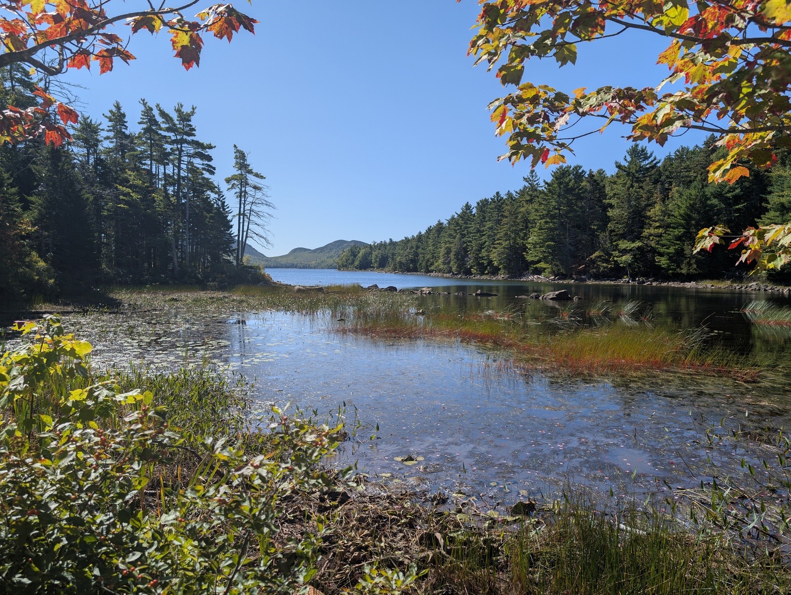 Acadia NP (1).jpg