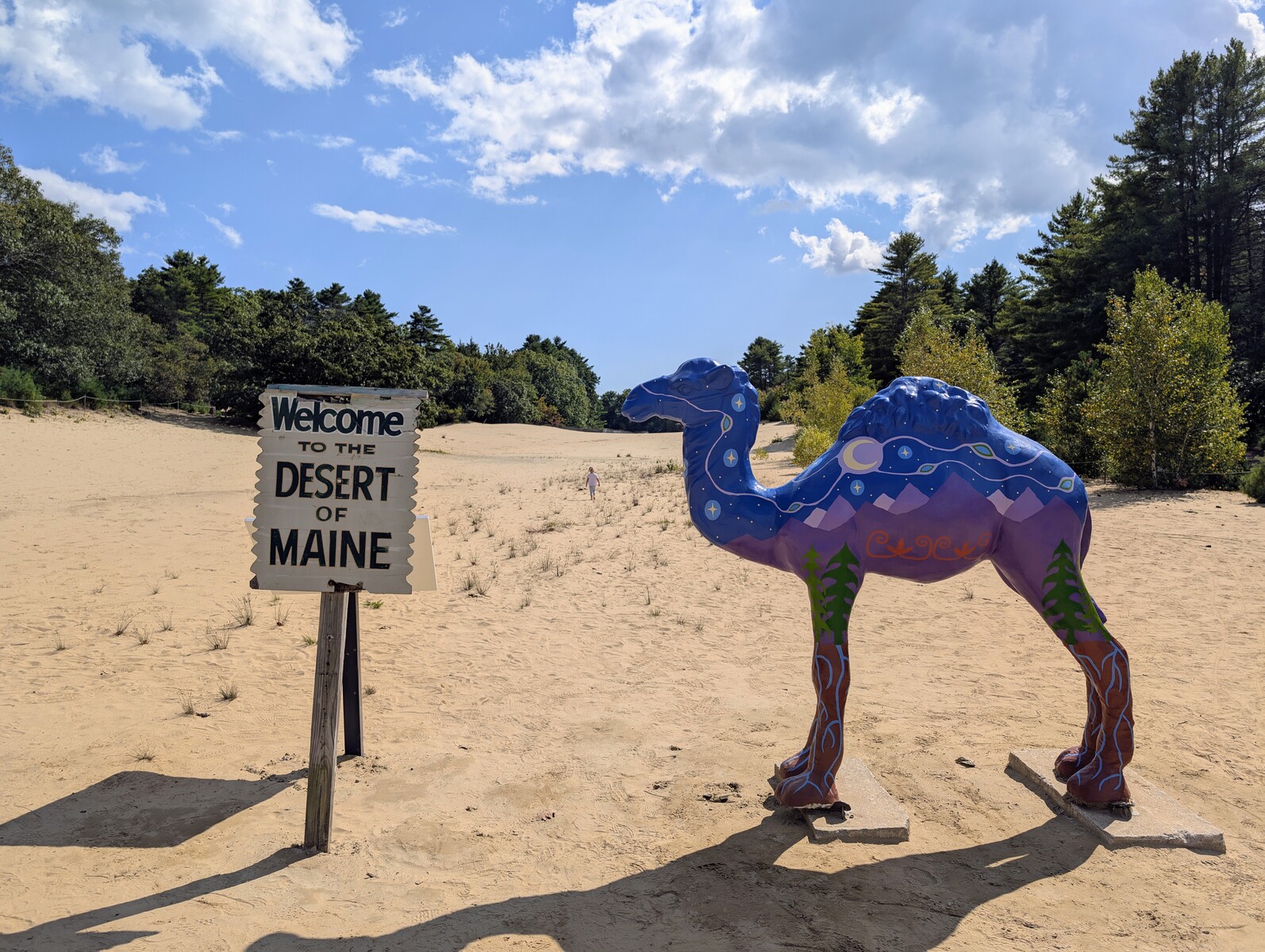 Desert of Maine.jpg