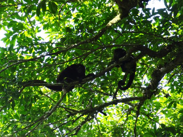 9.JPG