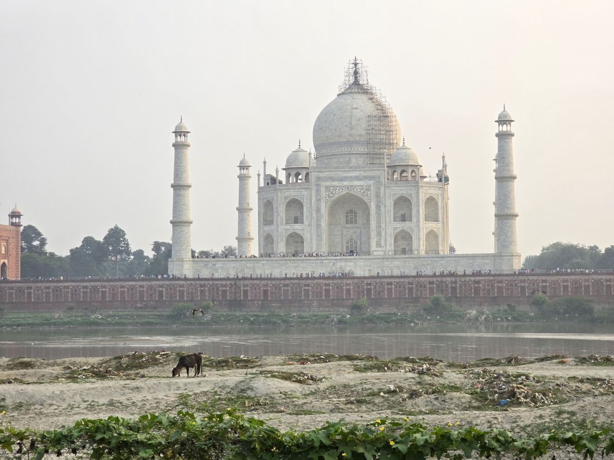 taj.jpg
