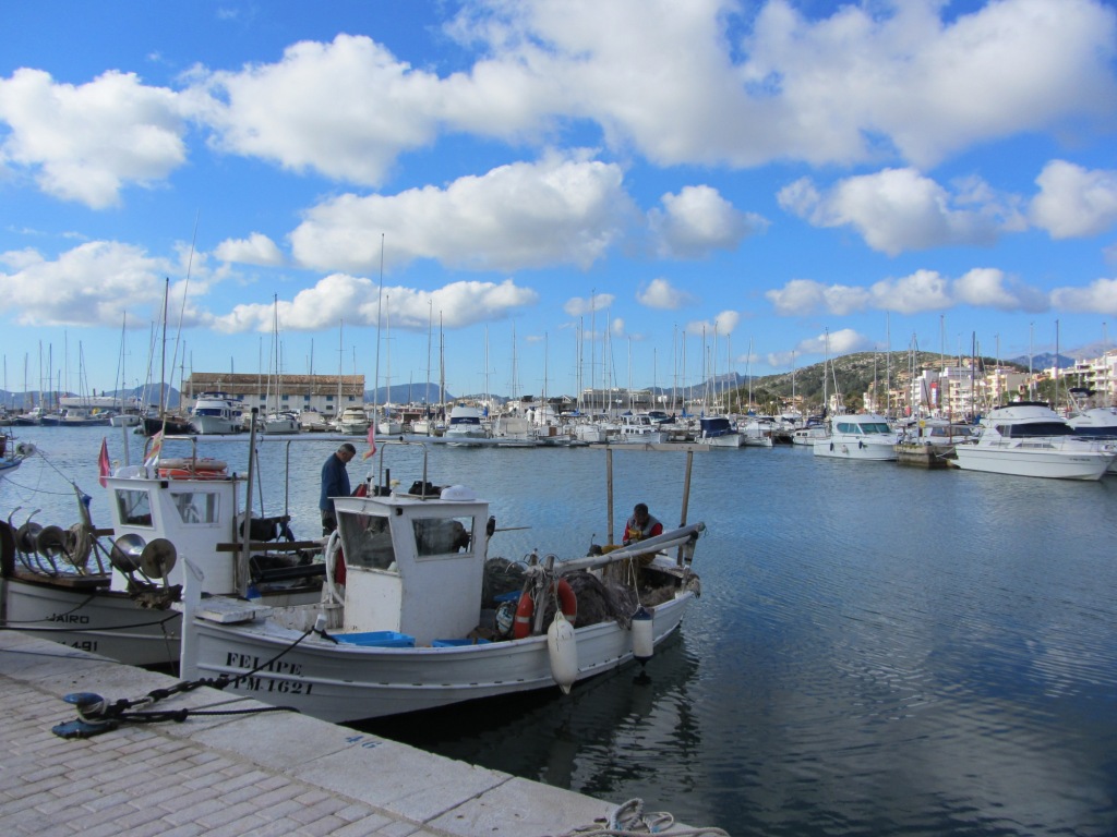IMG_2236.JPG