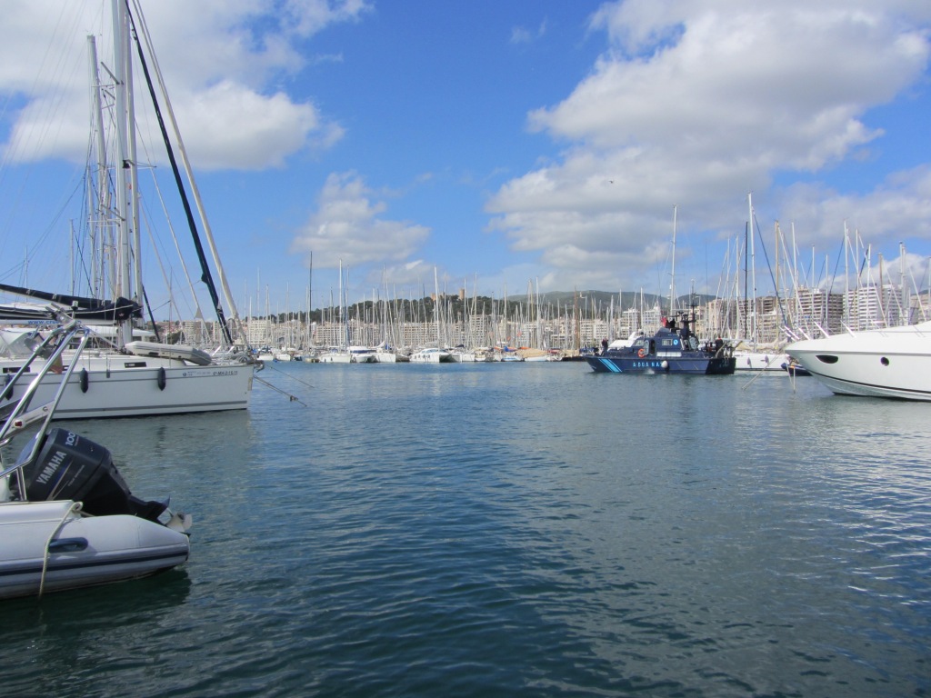 IMG_2331.JPG