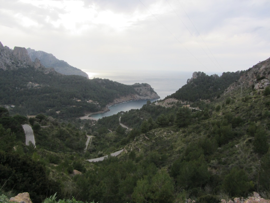 IMG_2403.JPG