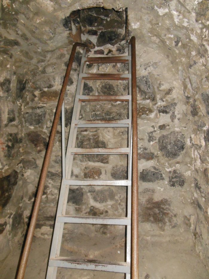 DSCN3471.jpg