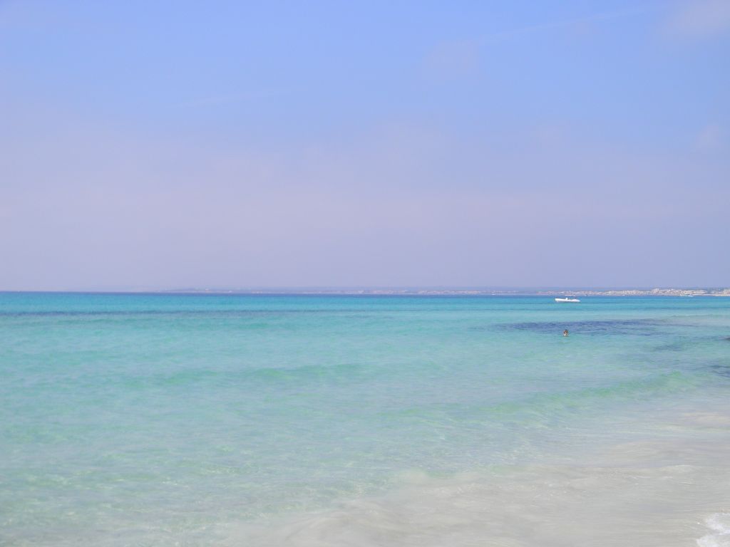 DSCN5229.JPG