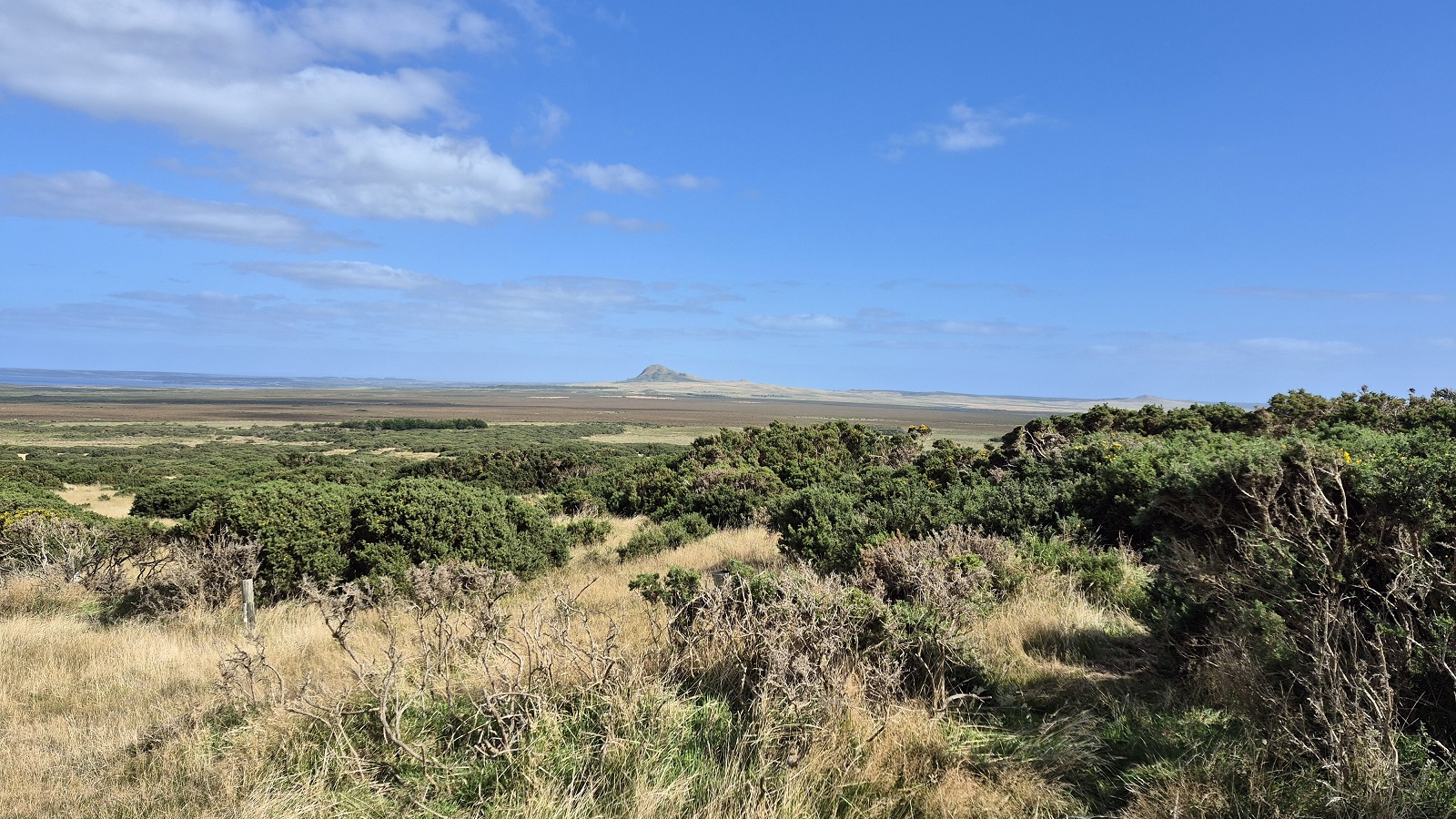 69.jpg