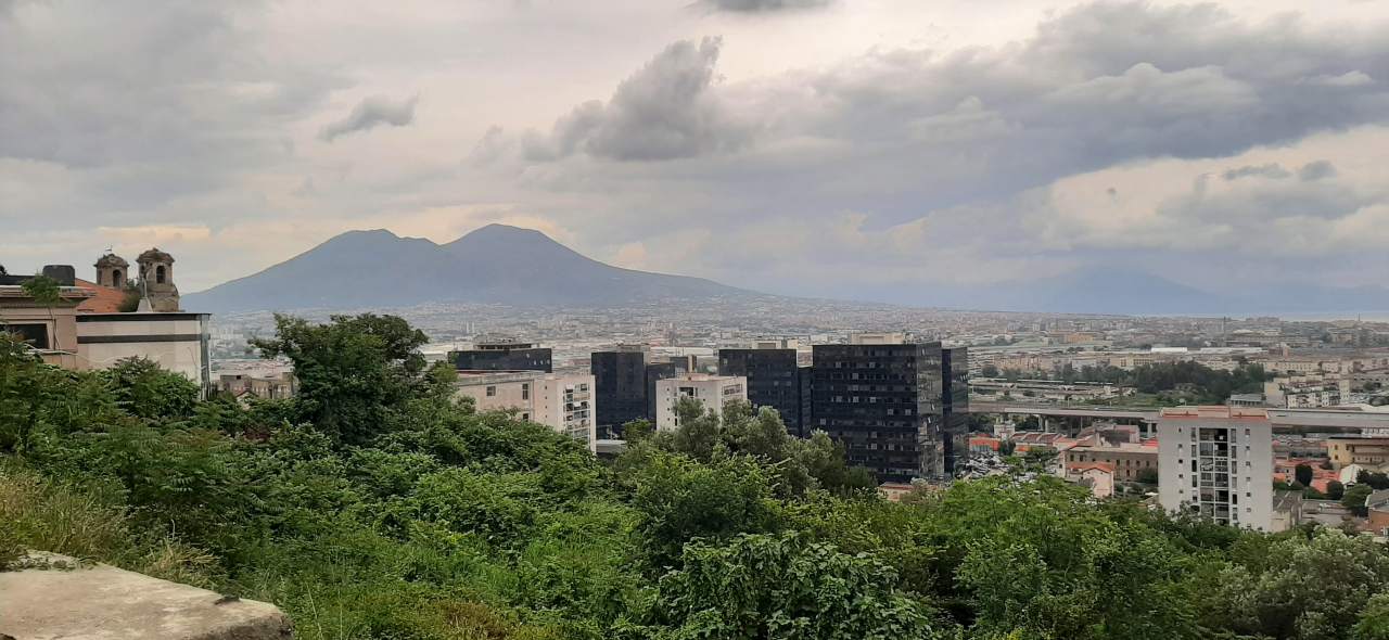 N15.jpg