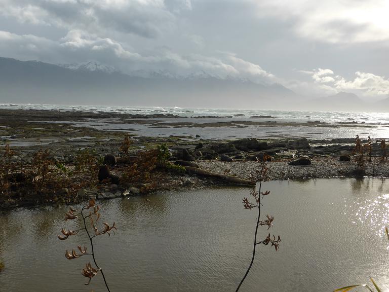 P1020124.JPG