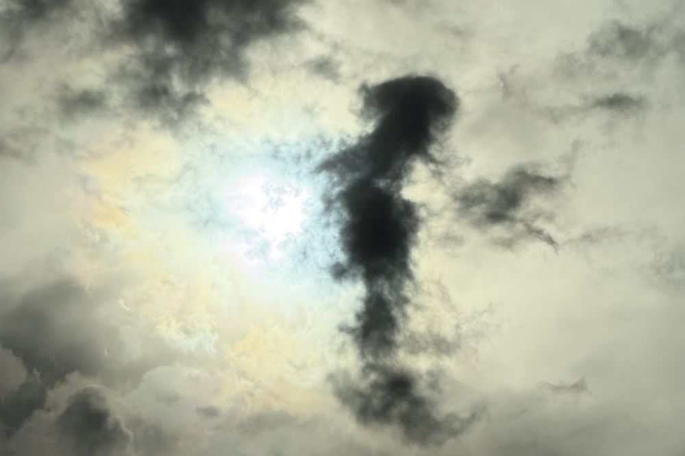 Z1.jpg
