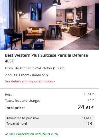 bw plus suitcase paris.png
