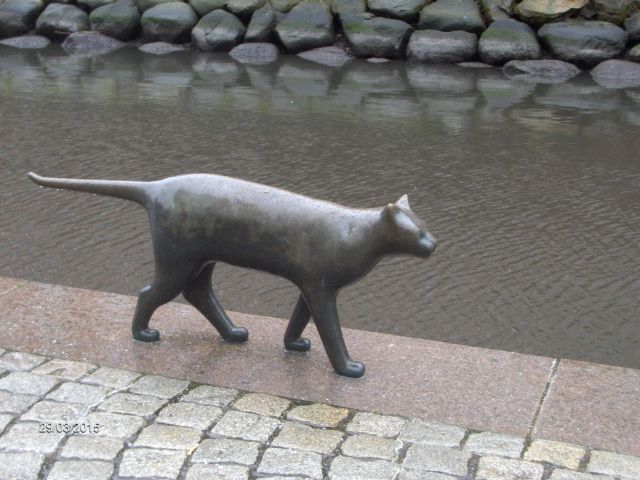 37.jpg