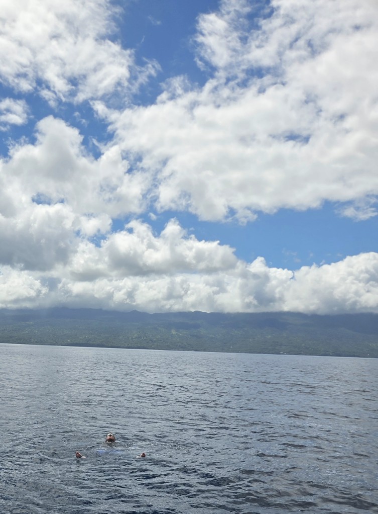 20261025_095705_copy_753x1022.jpg