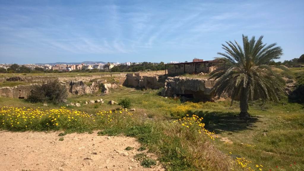 9a. pafos widok.jpg