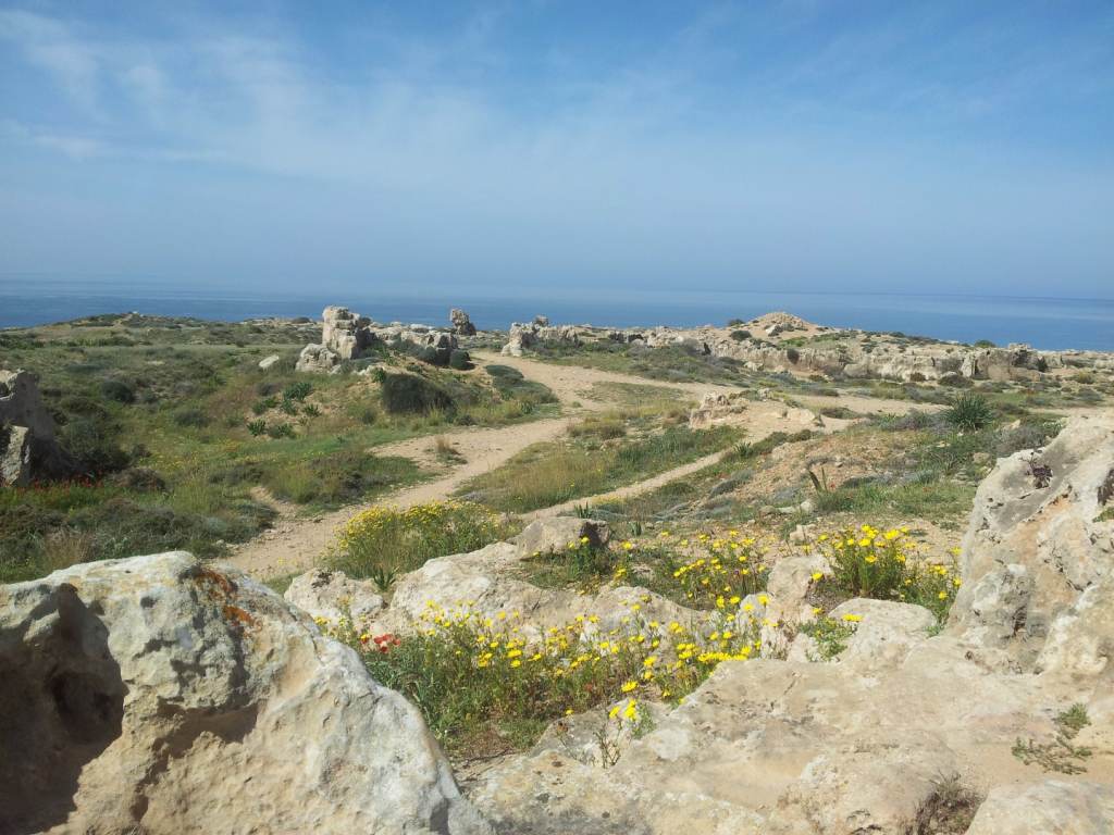 9. widok pafos.jpg