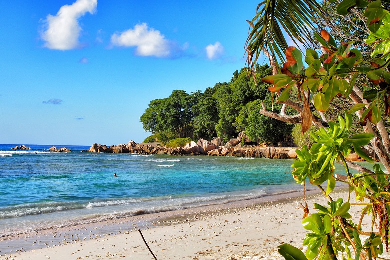 Anse Severe 1.jpg