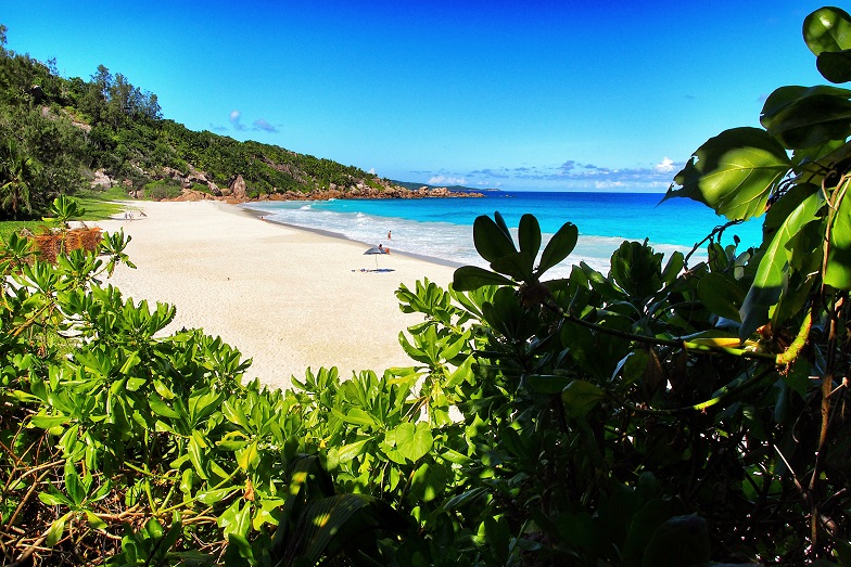 Widok na Petit Anse 1.jpg