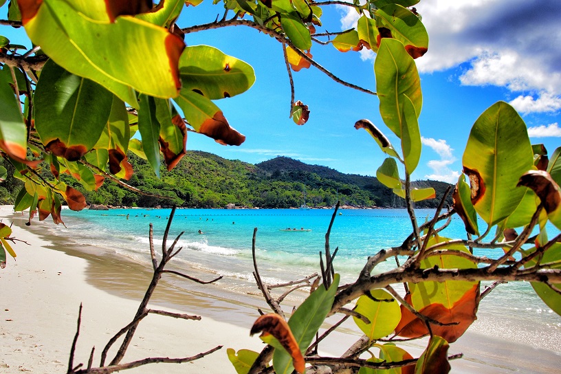 Anse Lazio Praslin 1.jpg